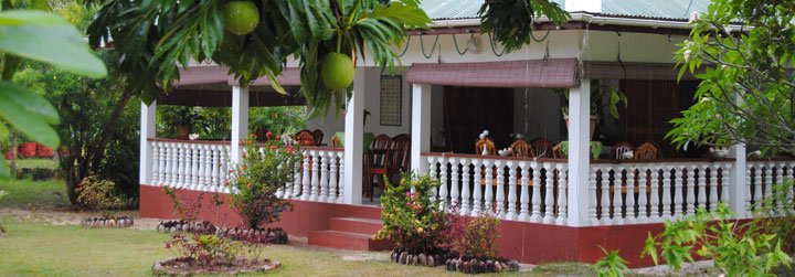 Paradise Flycatcher's lodge