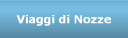 Viaggi di Nozze